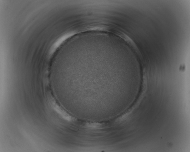X0000114171019200910151632