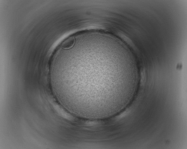 X0000114171021200910151632