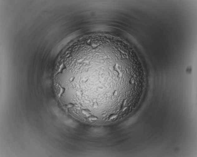 X0000114171025200910151632
