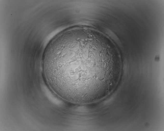 X0000114171028200910151632