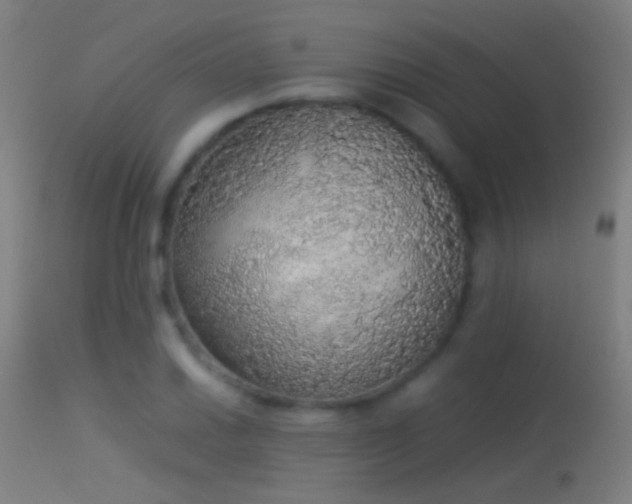 X0000114171030200910151632