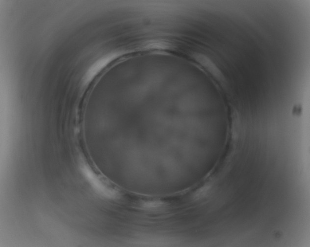 X0000114171031200910151632