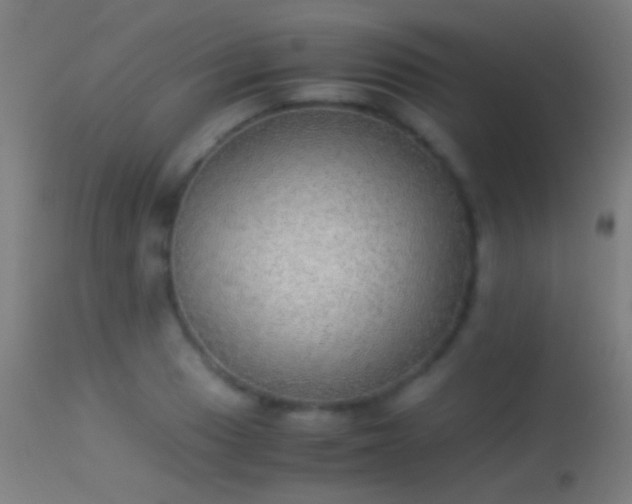 X0000114171033200910151632