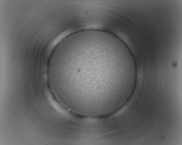 X0000114171034200910151632