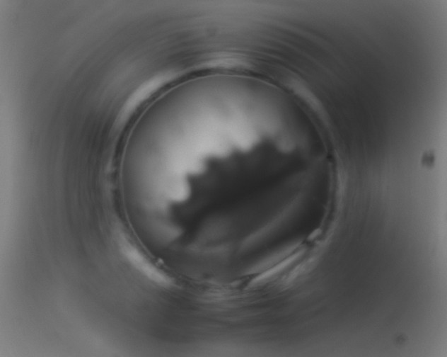 X0000114171037200910151632