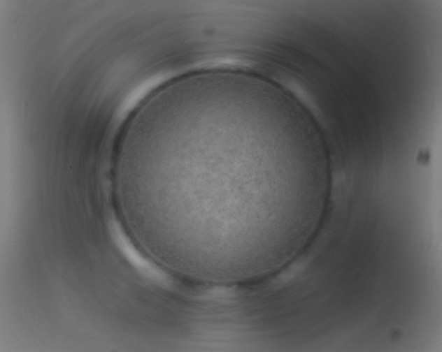 X0000114171038200910151632