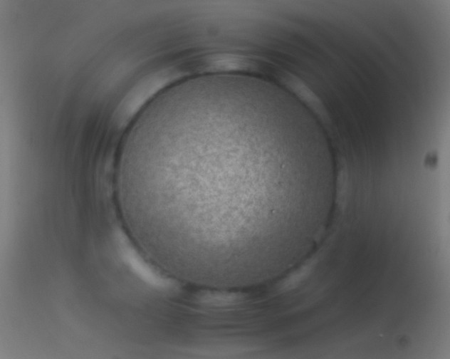 X0000114171039200910151632