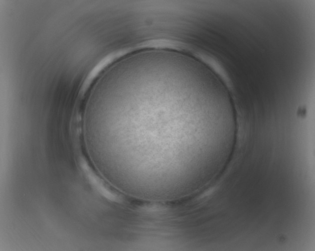 X0000114171040200910151632