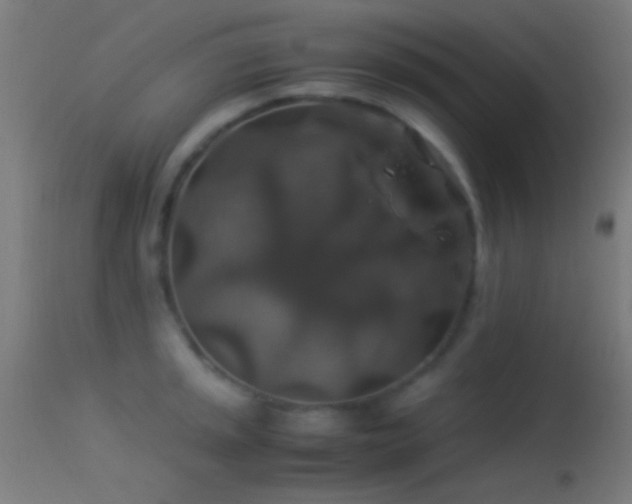 X0000114171045200910151632
