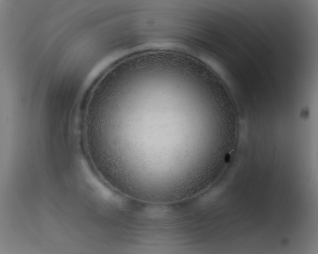 X0000114171046200910151632