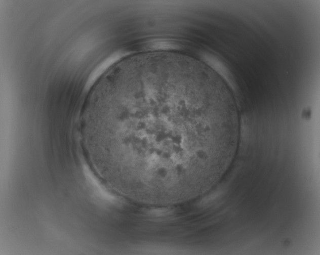 X0000114171047200910151632