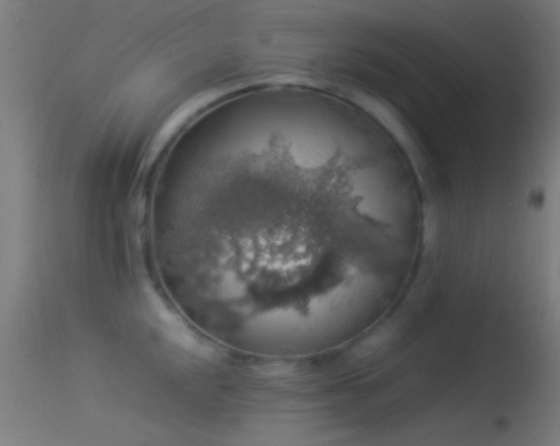 X0000114171048200910151632