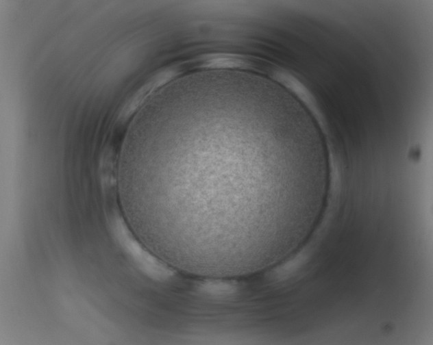 X0000114171049200910151632