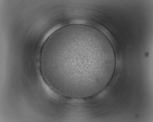 X0000114171050200910151632