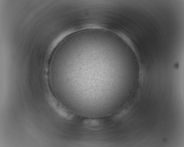 X0000114171051200910151632