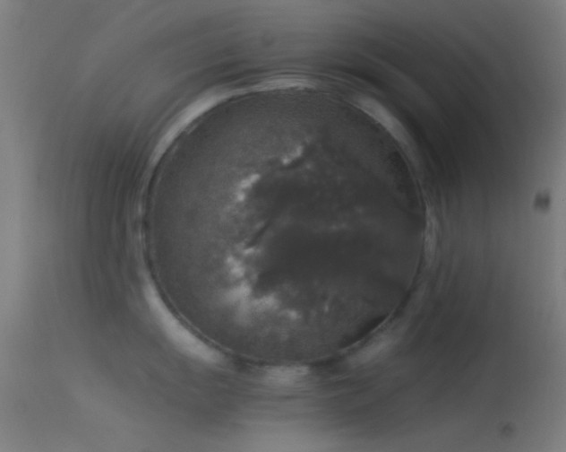 X0000114171055200910151632