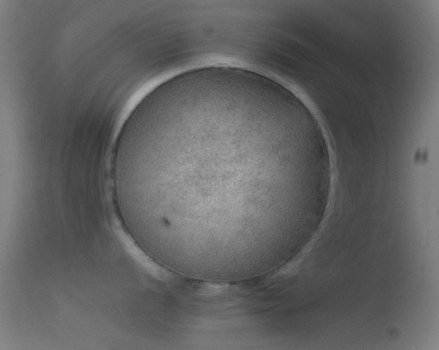 X0000114171056200910151632
