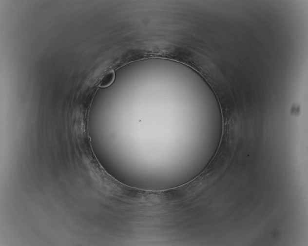 X0000114171058200910151632