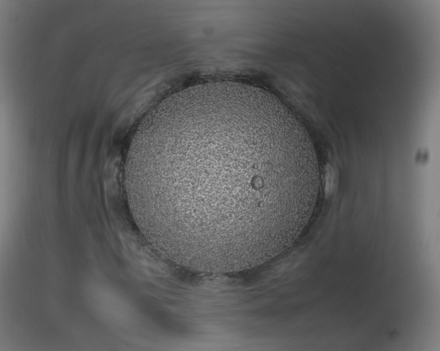 X0000114171059200910151632
