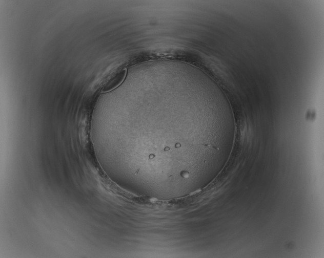 X0000114171060200910151632