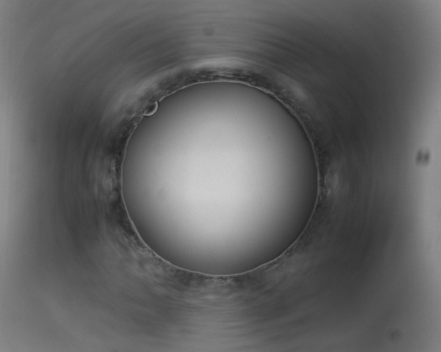 X0000114171062200910151632