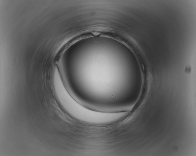 X0000114171065200910151632