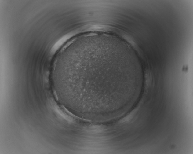 X0000114171066200910151632