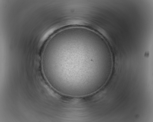 X0000114171067200910151632