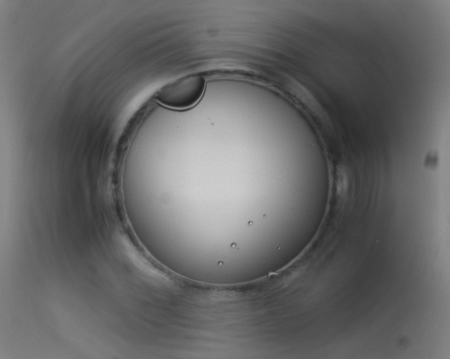 X0000114171068200910151632