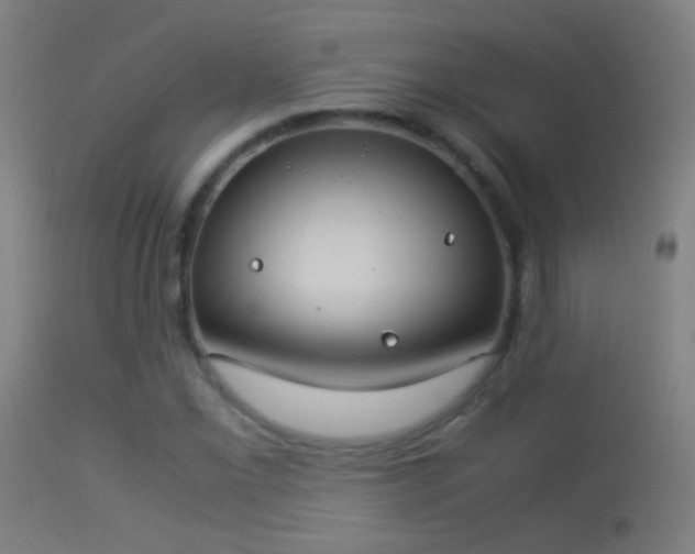 X0000114171069200910151632
