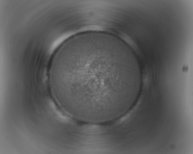 X0000114171070200910151632