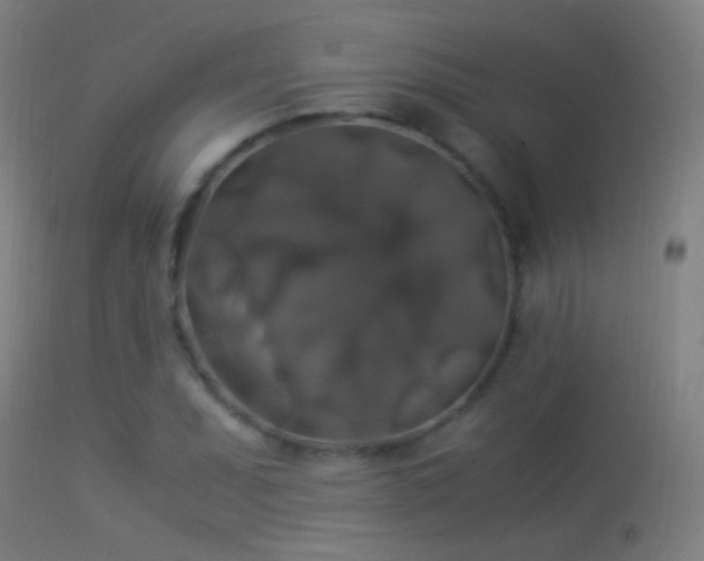 X0000114171071200910151632