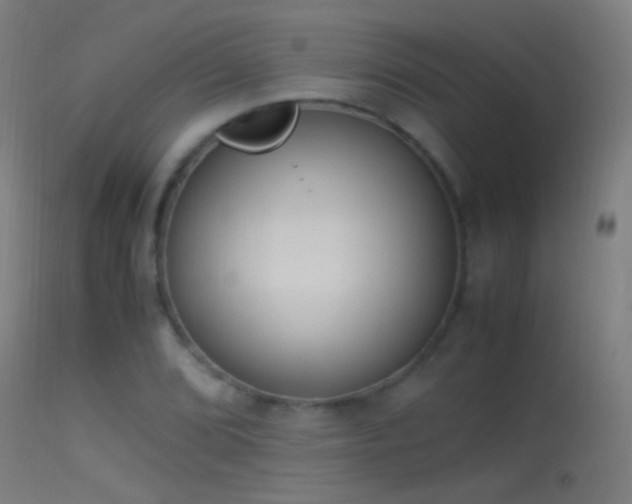 X0000114171072200910151632