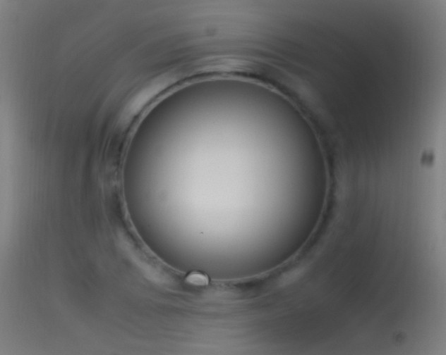 X0000114171073200910151632