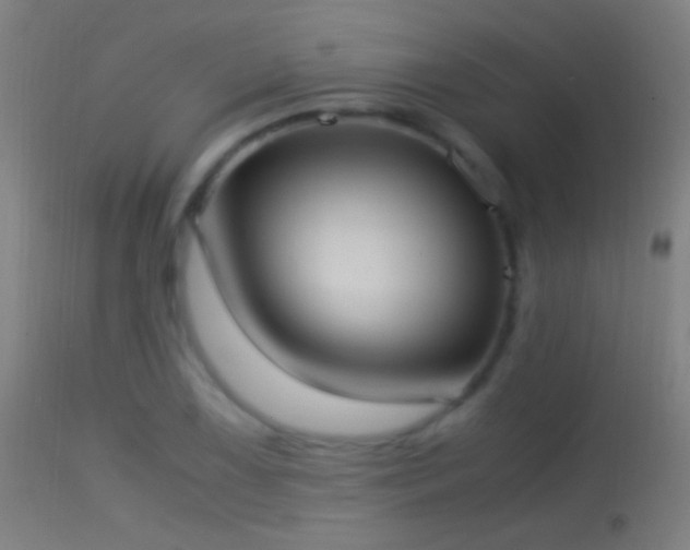 X0000114171075200910151632
