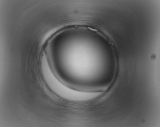 X0000114171077200910151631
