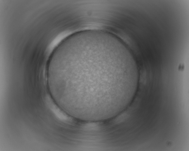 X0000114171078200910151631