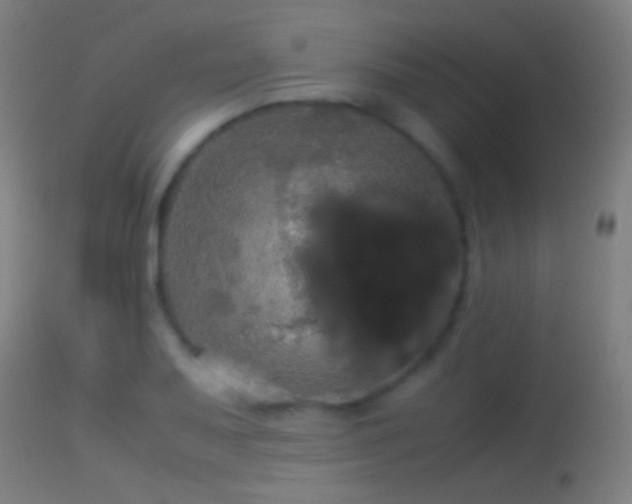 X0000114171079200910151631