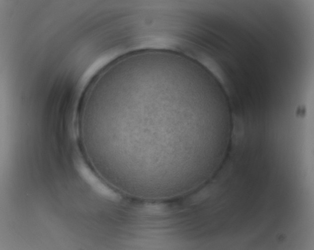 X0000114171080200910151631
