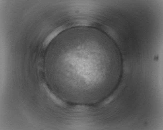 X0000114171081200910151631