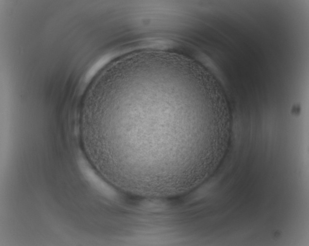 X0000114171083200910151631