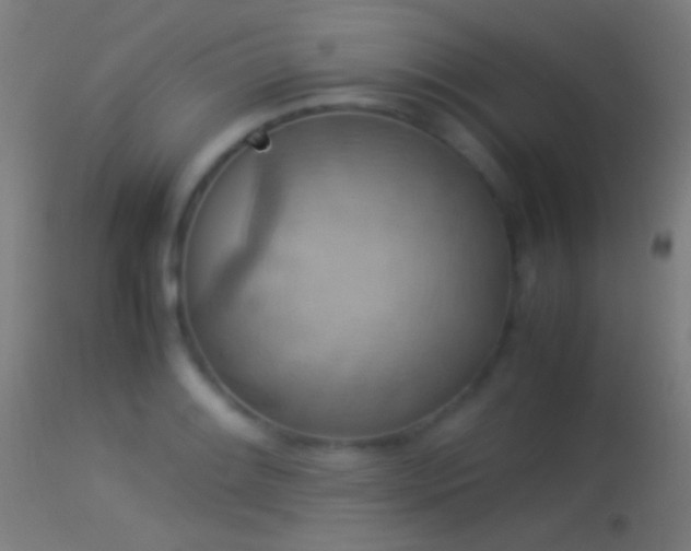 X0000114171084200910151631