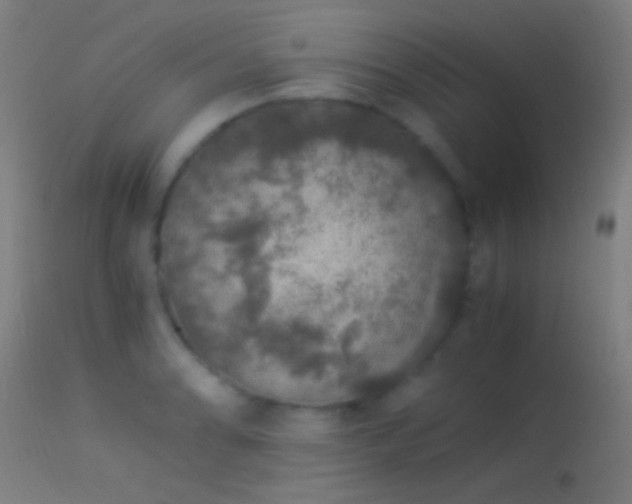 X0000114171086200910151631