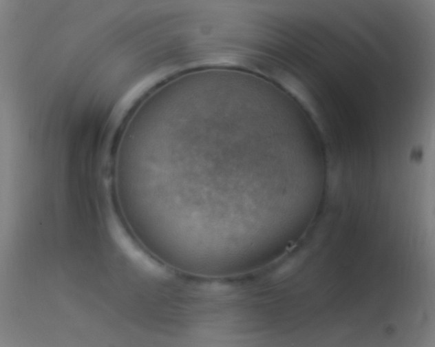X0000114171088200910151631