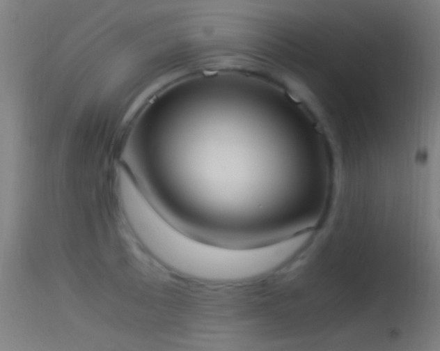 X0000114171089200910151631