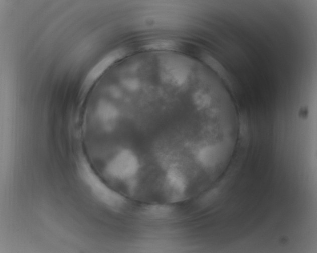 X0000114171090200910151631