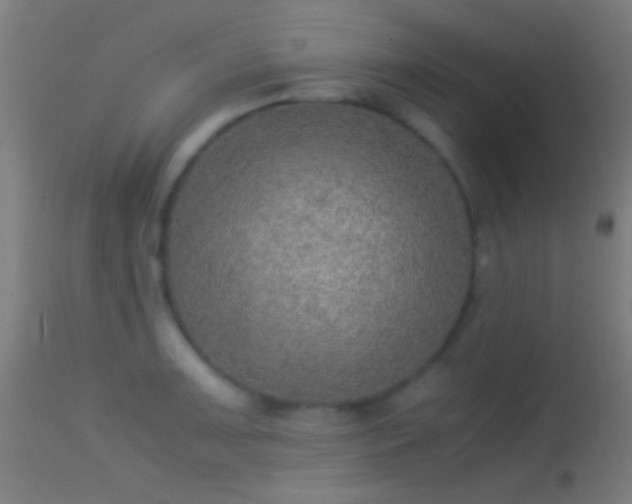 X0000114171091200910151631