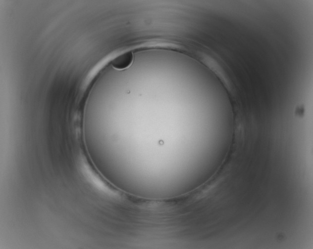 X0000114171092200910151631