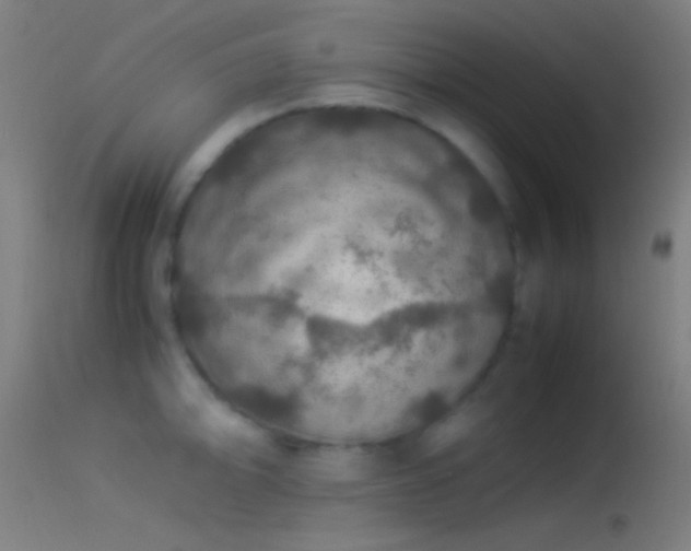 X0000114171094200910151631