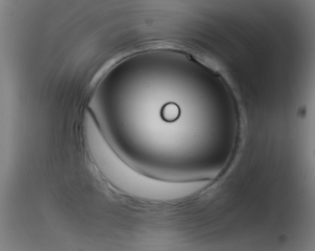 X0000114171097200910151631